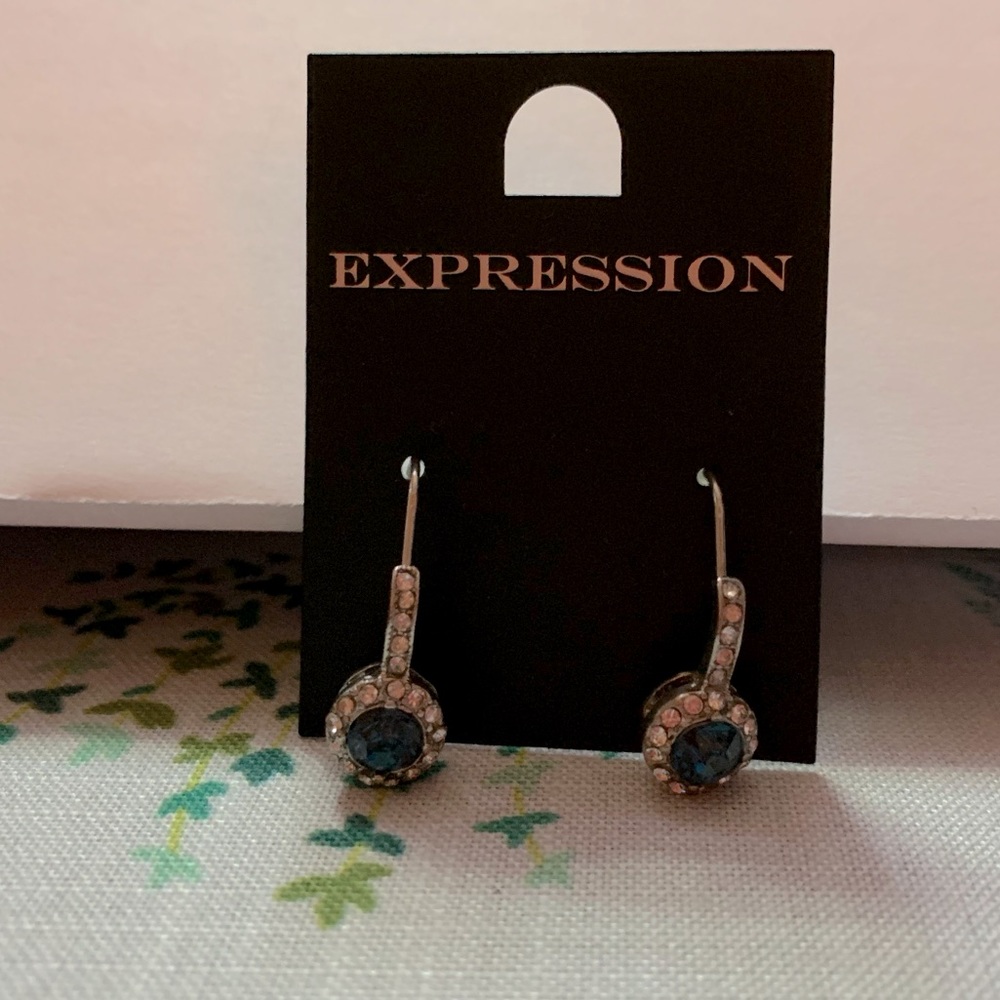 Expression earrings in Silver/Blue